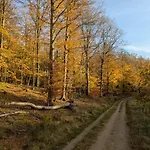 Ved Skov Græsted
