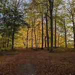 Ved Skov