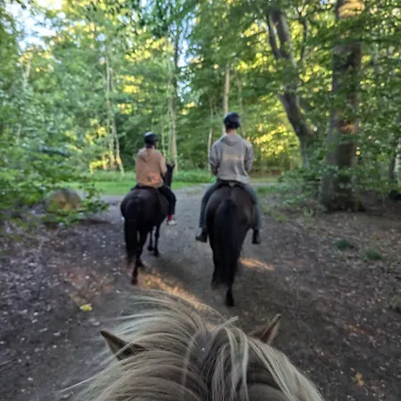 Ved Skov Apartment Graested