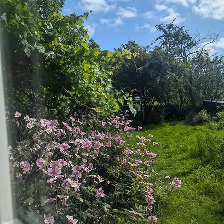 公寓 Ved Skov Græsted