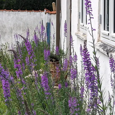 Appartement Ved Skov