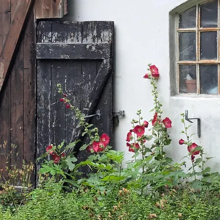Ved Skov *