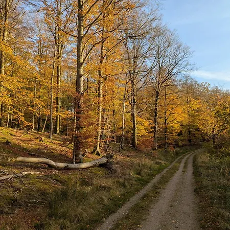 Ved Skov Græsted