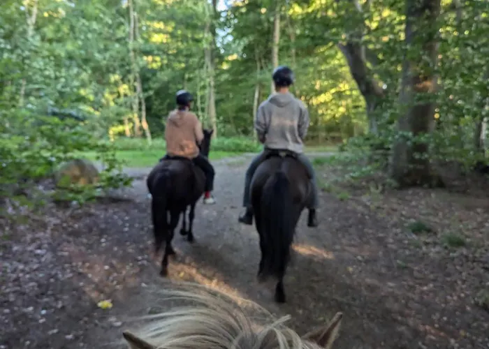 Ved Skov Lägenhet Græsted