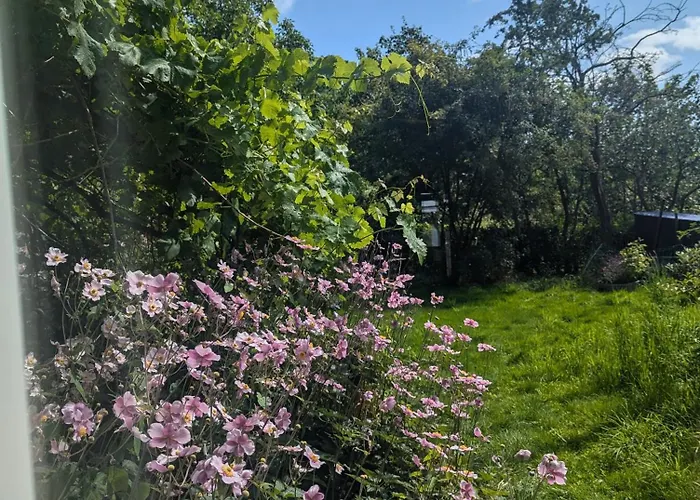 公寓 Ved Skov Græsted